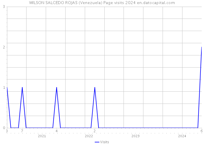 WILSON SALCEDO ROJAS (Venezuela) Page visits 2024 