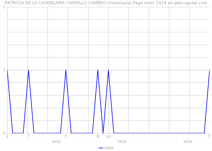 PATRICIA DE LA CANDELARIA CARRILLO CAMERO (Venezuela) Page visits 2024 
