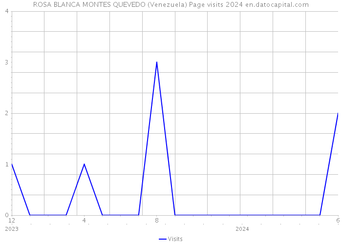ROSA BLANCA MONTES QUEVEDO (Venezuela) Page visits 2024 