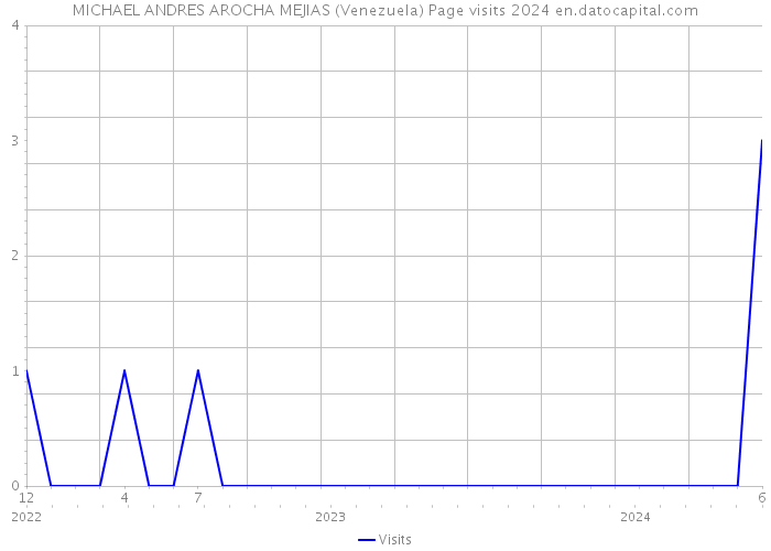 MICHAEL ANDRES AROCHA MEJIAS (Venezuela) Page visits 2024 