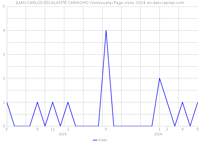 JUAN CARLOS ESCALANTE CAMACHO (Venezuela) Page visits 2024 