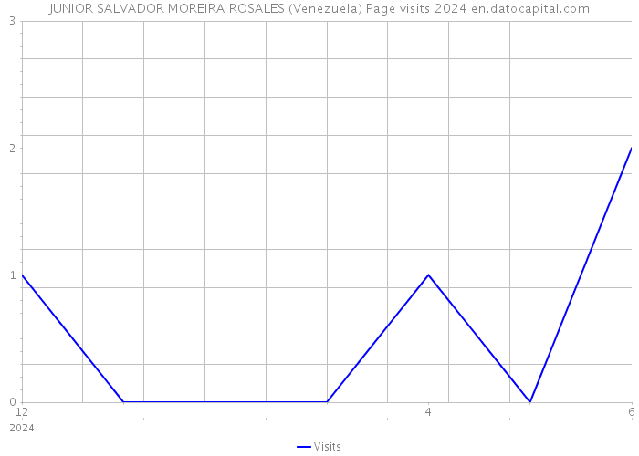 JUNIOR SALVADOR MOREIRA ROSALES (Venezuela) Page visits 2024 