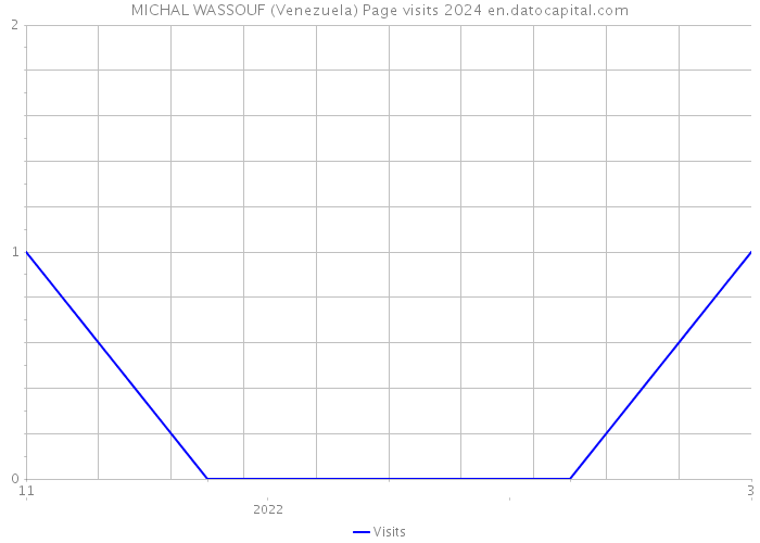 MICHAL WASSOUF (Venezuela) Page visits 2024 