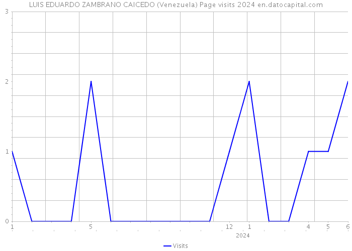 LUIS EDUARDO ZAMBRANO CAICEDO (Venezuela) Page visits 2024 