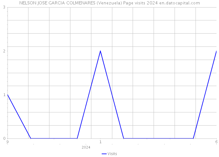NELSON JOSE GARCIA COLMENARES (Venezuela) Page visits 2024 