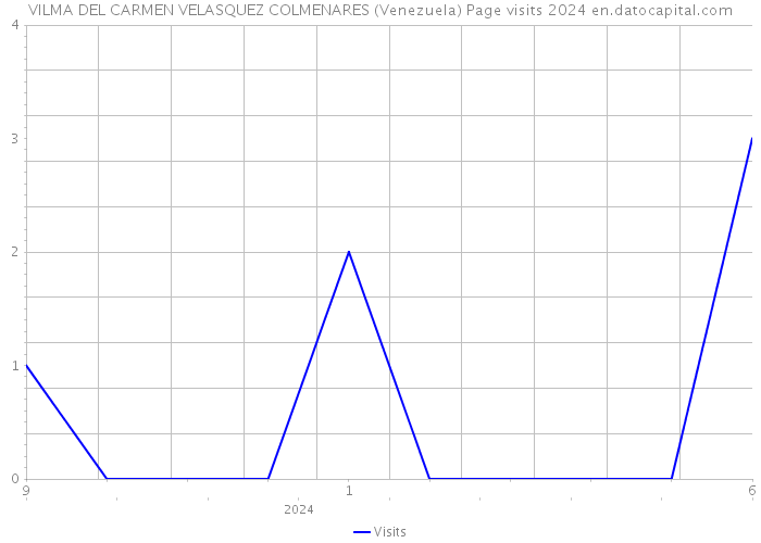 VILMA DEL CARMEN VELASQUEZ COLMENARES (Venezuela) Page visits 2024 