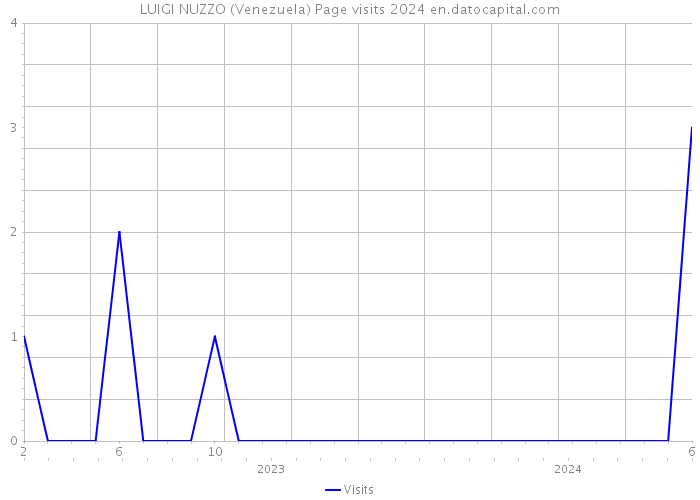 LUIGI NUZZO (Venezuela) Page visits 2024 