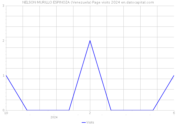 NELSON MURILLO ESPINOZA (Venezuela) Page visits 2024 