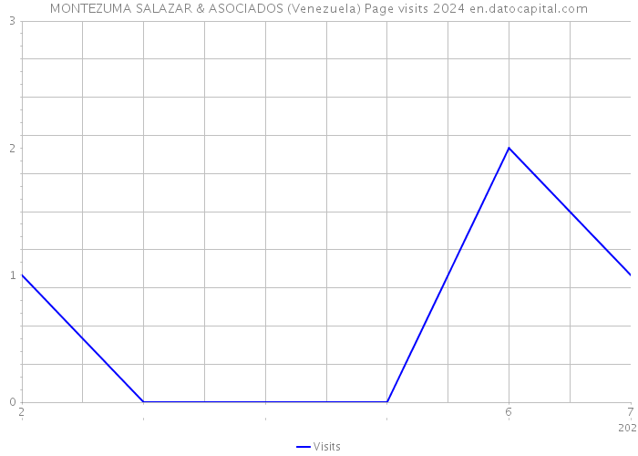 MONTEZUMA SALAZAR & ASOCIADOS (Venezuela) Page visits 2024 