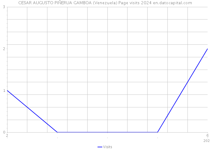 CESAR AUGUSTO PIÑERUA GAMBOA (Venezuela) Page visits 2024 