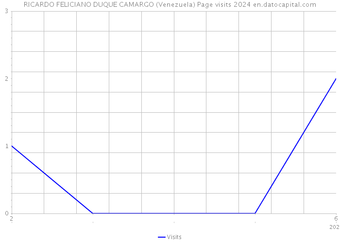 RICARDO FELICIANO DUQUE CAMARGO (Venezuela) Page visits 2024 