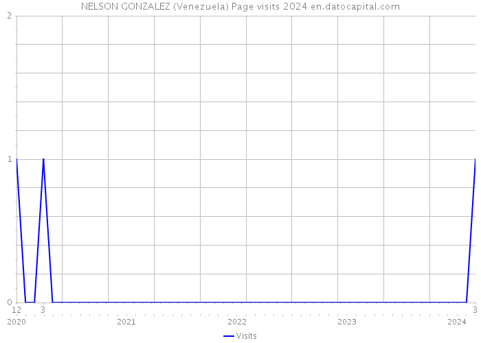 NELSON GONZALEZ (Venezuela) Page visits 2024 