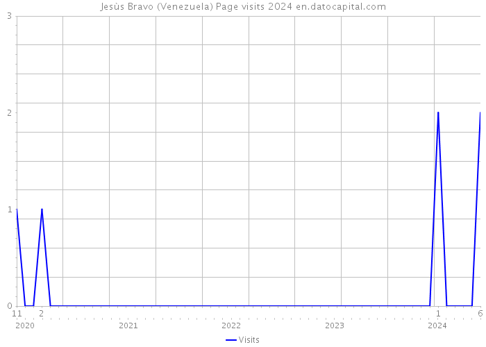 Jesùs Bravo (Venezuela) Page visits 2024 