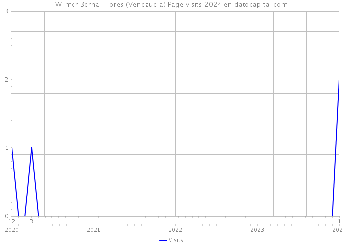Wilmer Bernal Flores (Venezuela) Page visits 2024 
