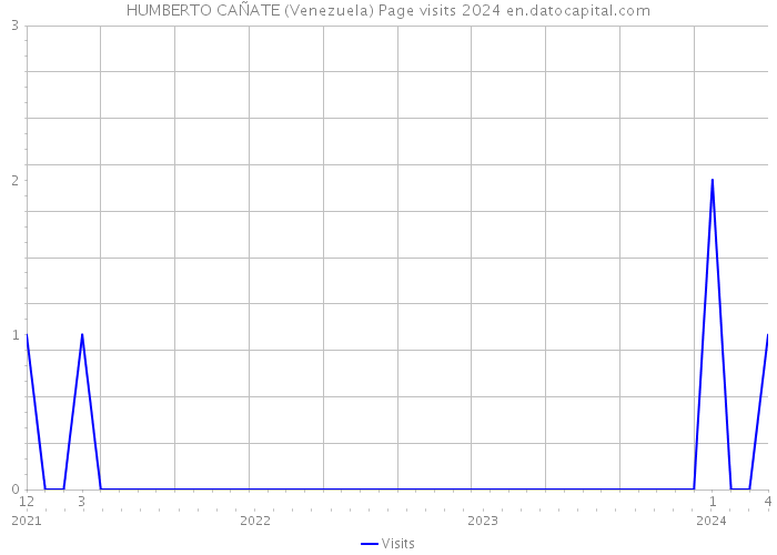 HUMBERTO CAÑATE (Venezuela) Page visits 2024 