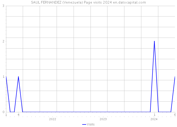 SAUL FERNANDEZ (Venezuela) Page visits 2024 