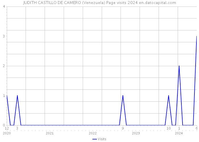 JUDITH CASTILLO DE CAMERO (Venezuela) Page visits 2024 