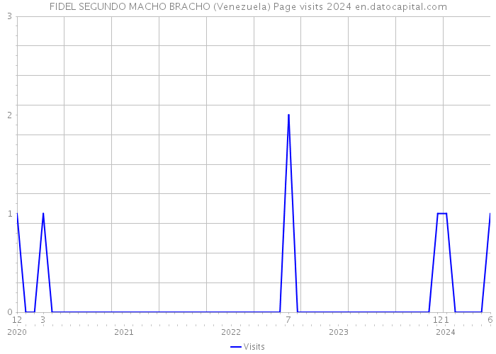 FIDEL SEGUNDO MACHO BRACHO (Venezuela) Page visits 2024 