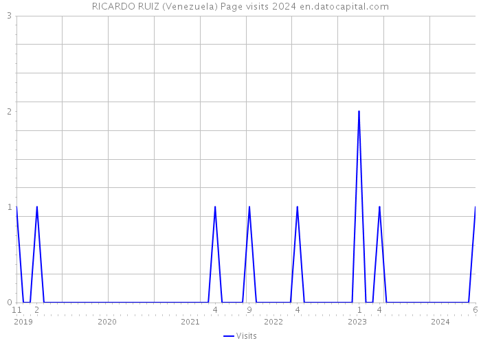 RICARDO RUIZ (Venezuela) Page visits 2024 