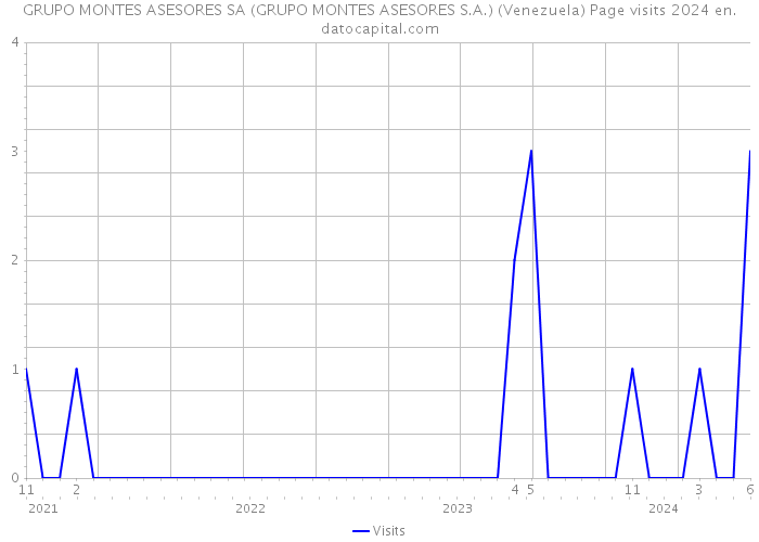 GRUPO MONTES ASESORES SA (GRUPO MONTES ASESORES S.A.) (Venezuela) Page visits 2024 