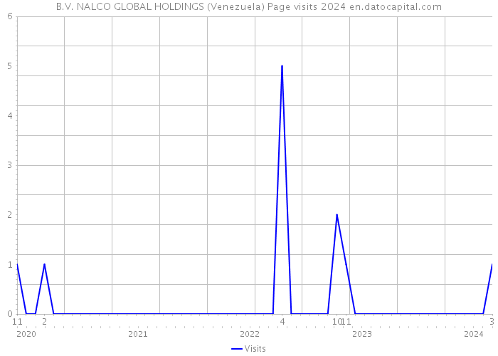 B.V. NALCO GLOBAL HOLDINGS (Venezuela) Page visits 2024 