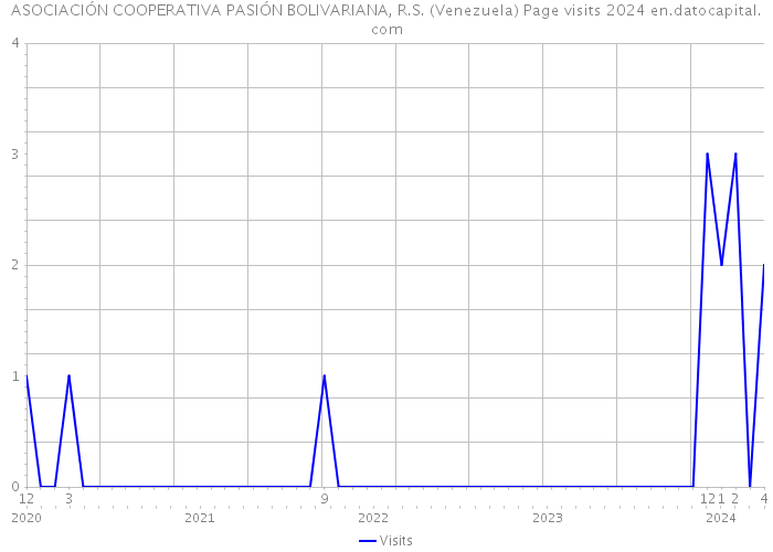 ASOCIACIÓN COOPERATIVA PASIÓN BOLIVARIANA, R.S. (Venezuela) Page visits 2024 