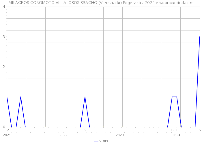 MILAGROS COROMOTO VILLALOBOS BRACHO (Venezuela) Page visits 2024 