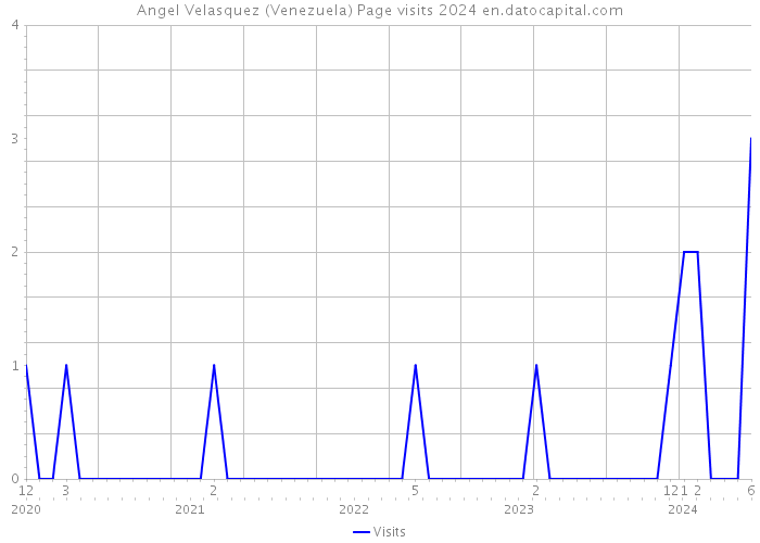 Angel Velasquez (Venezuela) Page visits 2024 