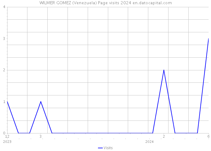 WILMER GOMEZ (Venezuela) Page visits 2024 