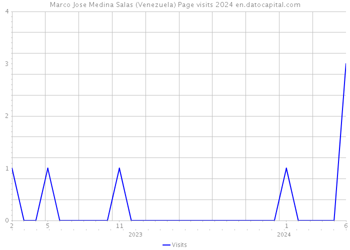 Marco Jose Medina Salas (Venezuela) Page visits 2024 