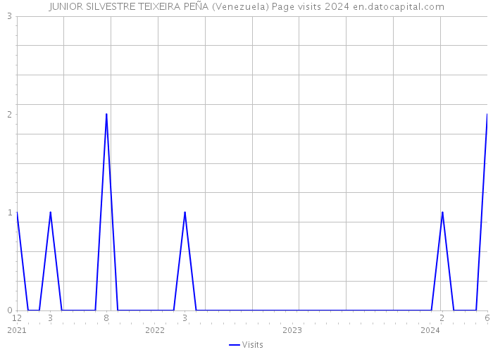 JUNIOR SILVESTRE TEIXEIRA PEÑA (Venezuela) Page visits 2024 