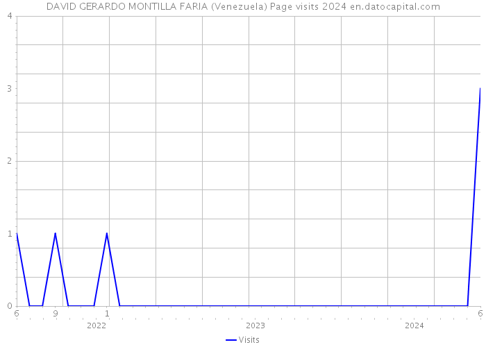 DAVID GERARDO MONTILLA FARIA (Venezuela) Page visits 2024 