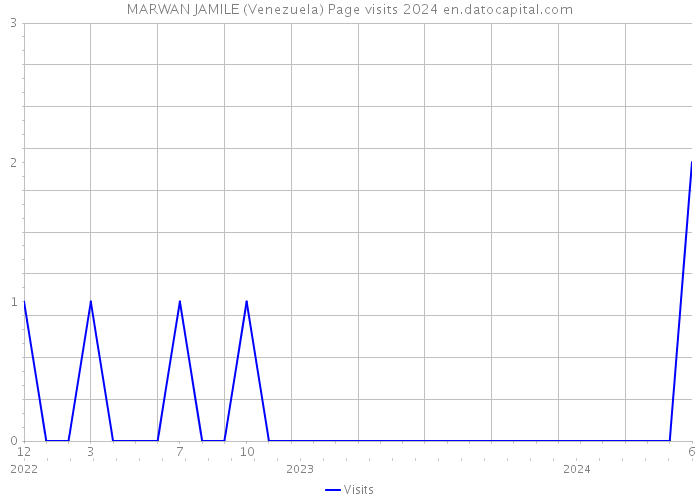 MARWAN JAMILE (Venezuela) Page visits 2024 