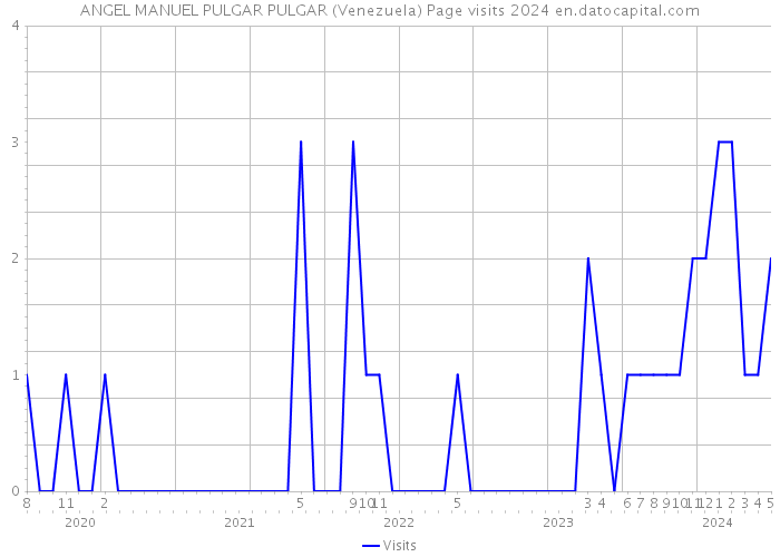 ANGEL MANUEL PULGAR PULGAR (Venezuela) Page visits 2024 