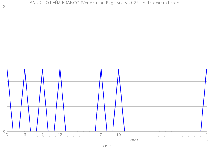 BAUDILIO PEÑA FRANCO (Venezuela) Page visits 2024 