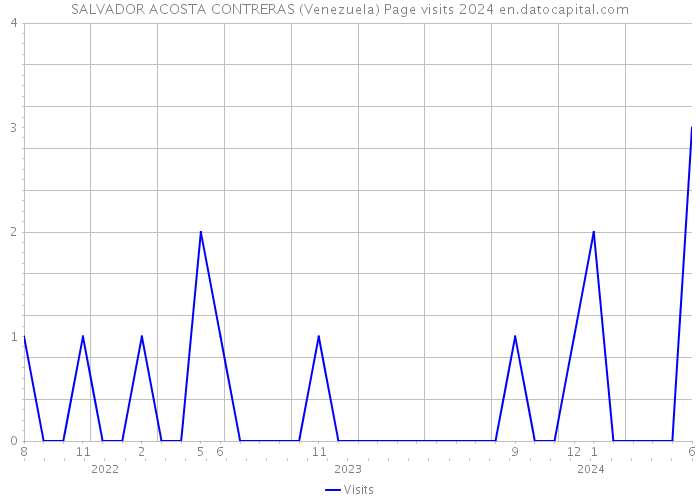 SALVADOR ACOSTA CONTRERAS (Venezuela) Page visits 2024 