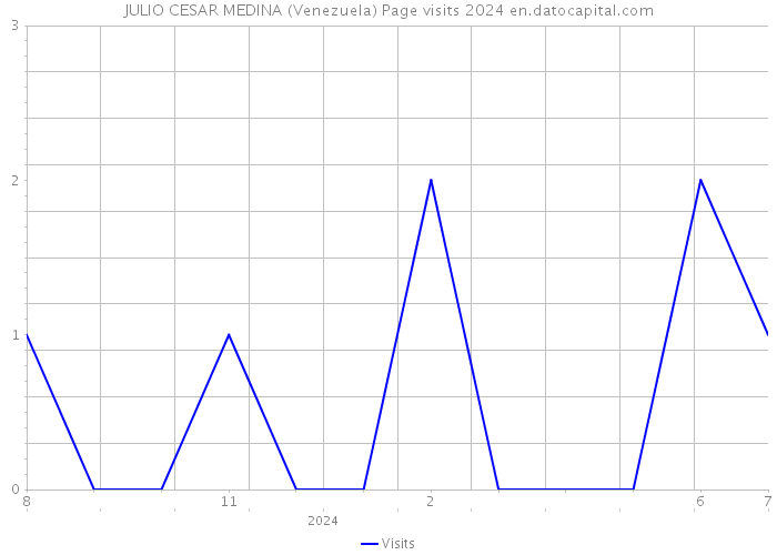JULIO CESAR MEDINA (Venezuela) Page visits 2024 