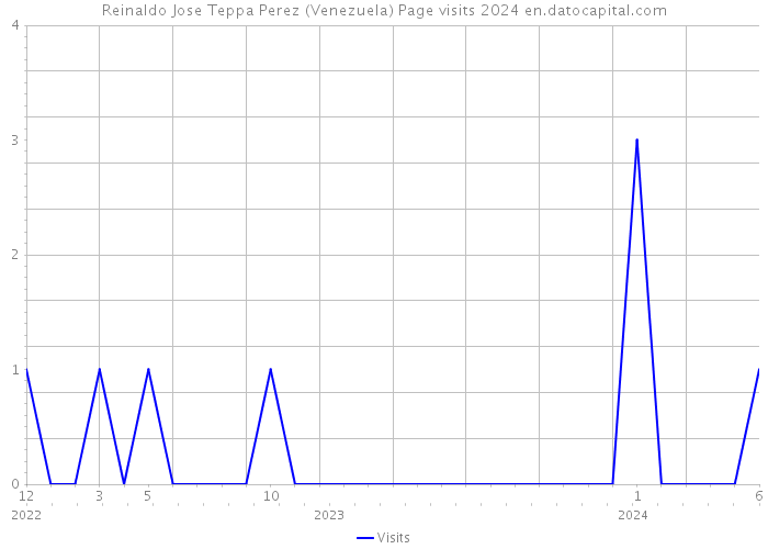 Reinaldo Jose Teppa Perez (Venezuela) Page visits 2024 