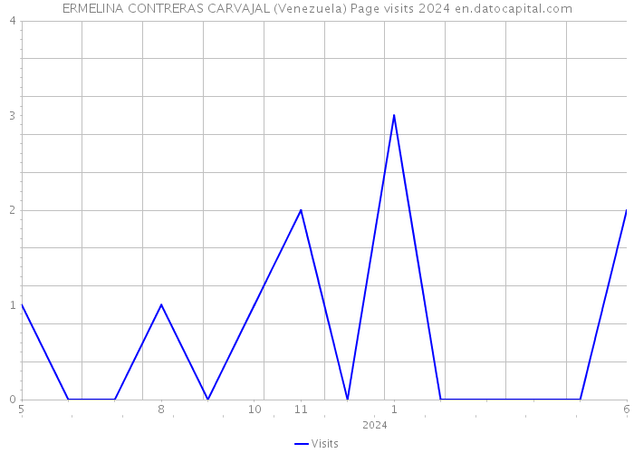 ERMELINA CONTRERAS CARVAJAL (Venezuela) Page visits 2024 