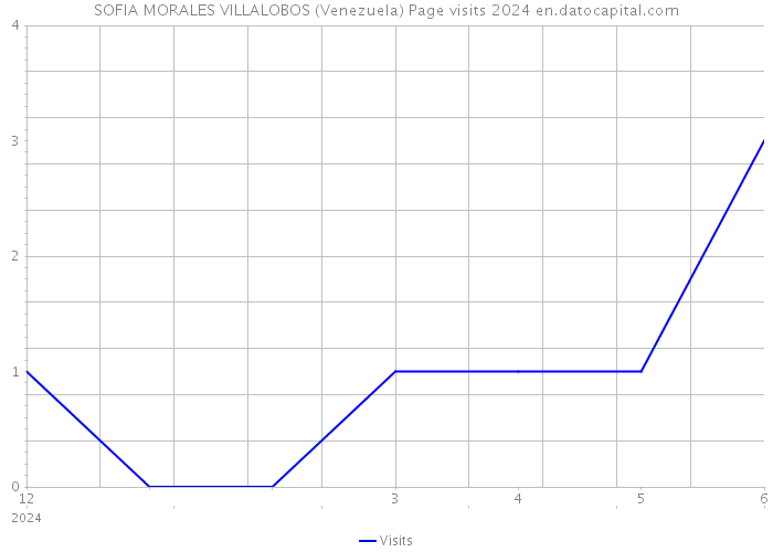 SOFIA MORALES VILLALOBOS (Venezuela) Page visits 2024 