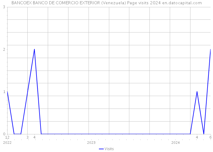 BANCOEX BANCO DE COMERCIO EXTERIOR (Venezuela) Page visits 2024 