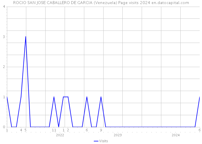 ROCIO SAN JOSE CABALLERO DE GARCIA (Venezuela) Page visits 2024 