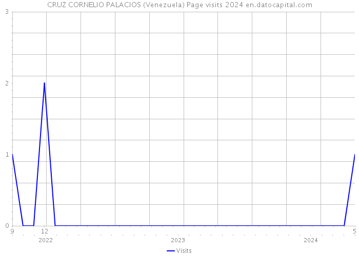 CRUZ CORNELIO PALACIOS (Venezuela) Page visits 2024 