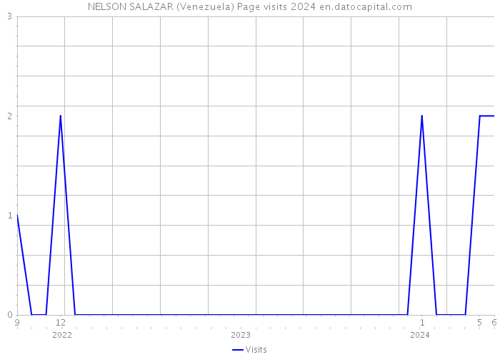 NELSON SALAZAR (Venezuela) Page visits 2024 