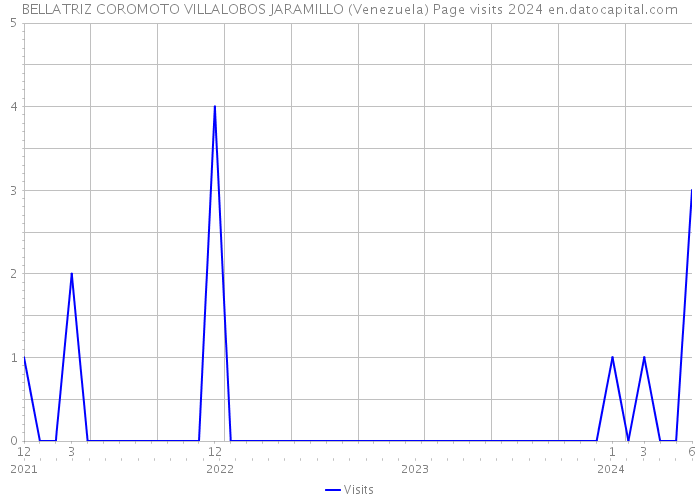BELLATRIZ COROMOTO VILLALOBOS JARAMILLO (Venezuela) Page visits 2024 