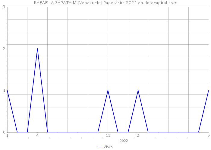 RAFAEL A ZAPATA M (Venezuela) Page visits 2024 