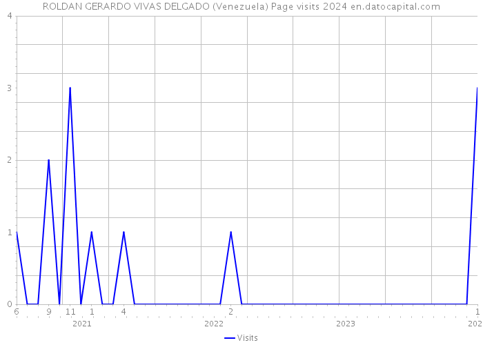 ROLDAN GERARDO VIVAS DELGADO (Venezuela) Page visits 2024 