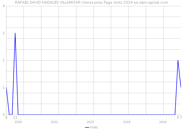 RAFAEL DAVID NADALES VILLAMIZAR (Venezuela) Page visits 2024 