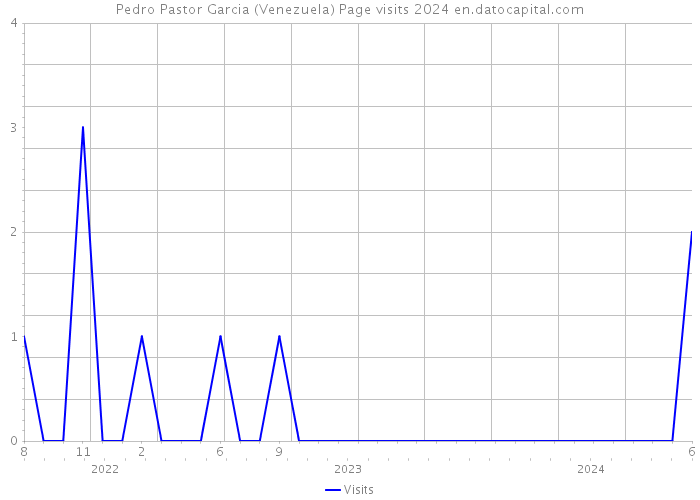 Pedro Pastor Garcia (Venezuela) Page visits 2024 
