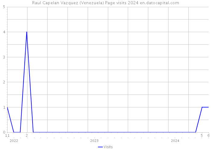 Raul Capelan Vazquez (Venezuela) Page visits 2024 